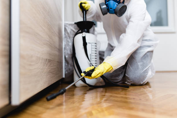 Best Rat Extermination Near Me  in Union, SC