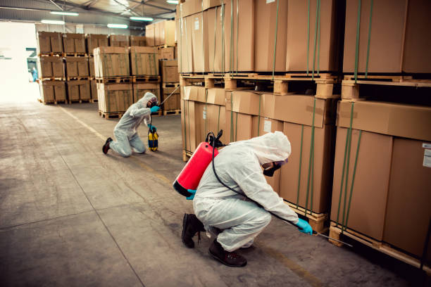 Best Best Pest Control Companies  in Union, SC