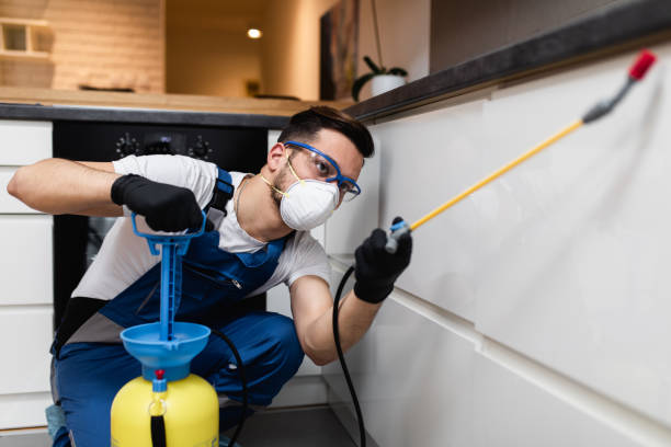 Trusted Union, SC Pest Control Experts