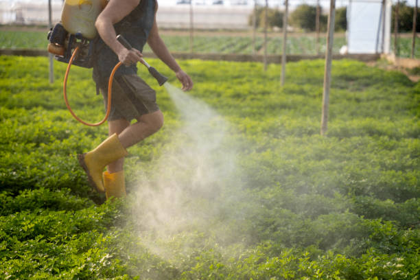 Best Wasp Removal Services  in Union, SC