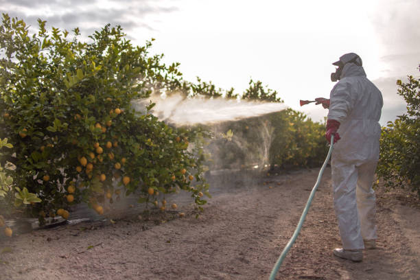 Best Emergency Pest Control  in Union, SC