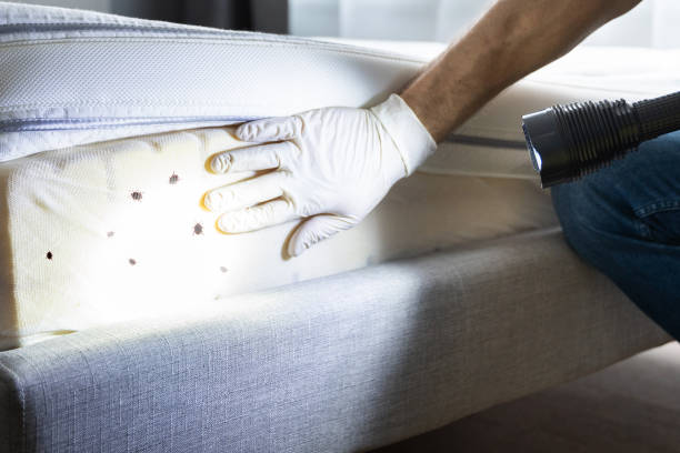 Best Pest Prevention Services  in Union, SC