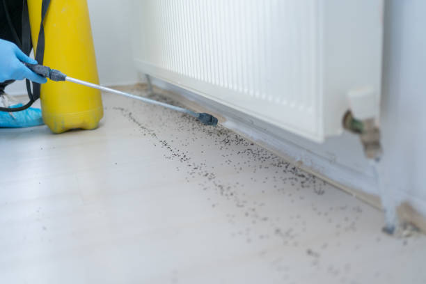 Pest Control Cost in Union, SC